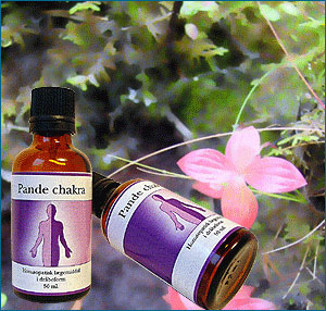 Pande Chakra 50ml Fra Holistica-Medica