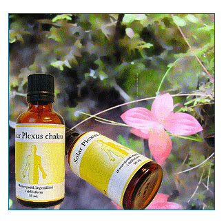 Solar Plexus Chakra 50ml Fra Holistica-Medica