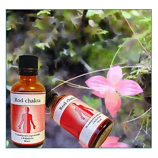 Rod Chakra Maskulin 50ml Fra Holistica-Medica