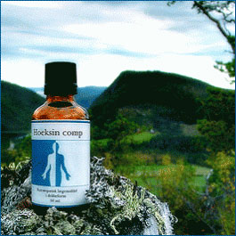 Hoeksin comp. 50 ml fra Holistica-Medica thumbnail