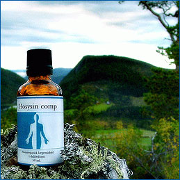 Se Hosysin comp. 50 ml fra Holistica-Medica hos Helsehelse.dk