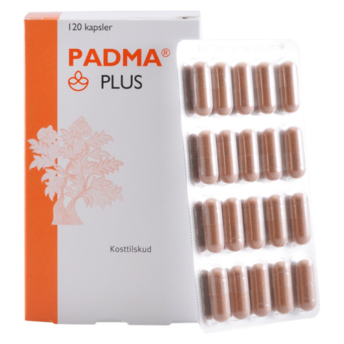 Padma Plus 120 Tab