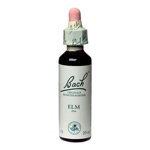 Bachs Elm 20 Ml