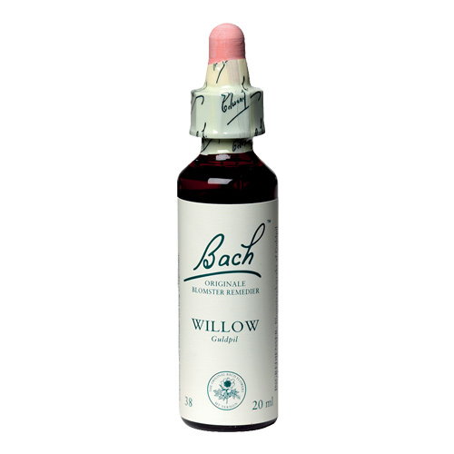 Bachs Guldpil - Willow 20 Ml