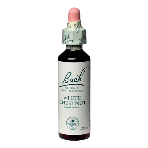 Bachs Hestekastanie - White Chesnut 20 Ml