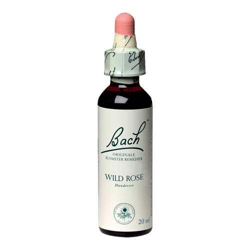 Bachs Hunderose - Wild Rose 20 Ml