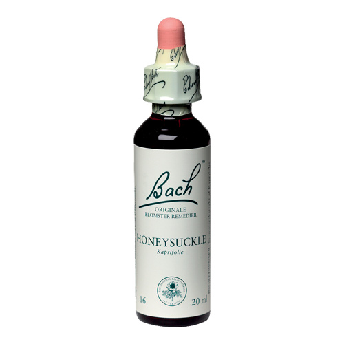 Bachs Kaprifolie - Honeysuckle 20 Ml