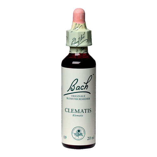 Bachs Klematis - Clematis 20 Ml