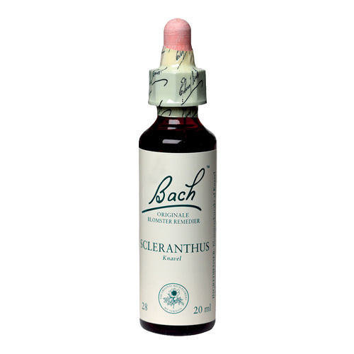 Bachs Knavel - Schleranthus 20 Ml