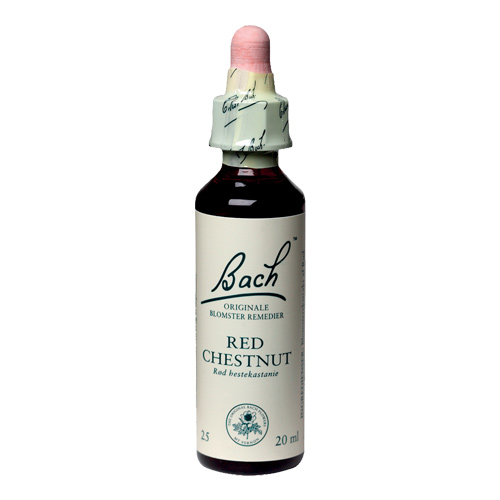 Bachs Rød Hestekastanie - red chesnut 20 ml thumbnail