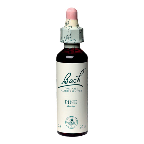 Bachs Skovfyr - Pine 20 Ml