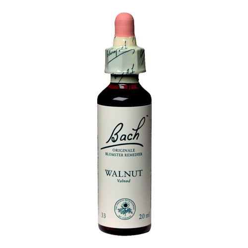 Bachs Valnød - Walnut 20 Ml