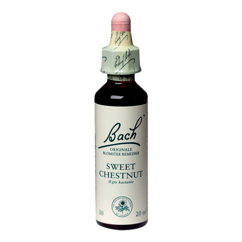 Bachs Ægte Kastanie - Sweet Chesnut 20ml