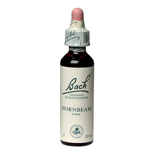 Bachs Avnbøg - Hornbeam 20 Ml