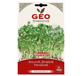 Se Broccolifrø til spiring økologisk 13gr GEO hos Helsehelse.dk