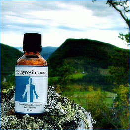 Hothyrosin comp. 50 ml fra Holistica-Medica thumbnail