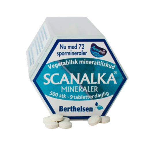 Berthelsen Mineraler  500 Tab